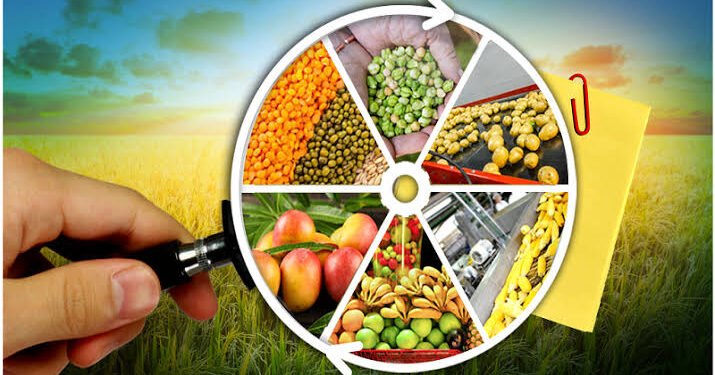 बारावीनंतर अन्नप्रक्रिया अभ्यासक्रमात पदवीधर व्हा आदित्य अन्नतंत्र महाविद्यालयाचे आवाहन.