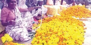 नाशिक: दसर्‍याला झेंडूच्या फुलांचे भाव वधारले, किरकोळ बाजारात झेंडू २०० रुपये किलो.