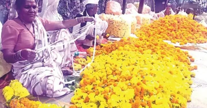 नाशिक: दसर्याला झेंडूच्या फुलांचे भाव वधारले, किरकोळ बाजारात झेंडू २०० रुपये किलो.