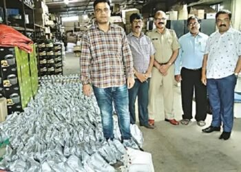 शेतकऱ्याची फसवणुक, दिंडोरी येथील नंदिनी किचन अ‍ॅप्लीकेशन प्रा.लि.च्या आवारात बनावट किटकनाकाचा मोठा साठा मिळाला.