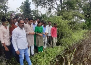 प्रशासनाला सोबत घेवून केज तालुक्यात खासदार डॉ. प्रीतम मुंडे शेतकर्‍यांच्या बांधावर.