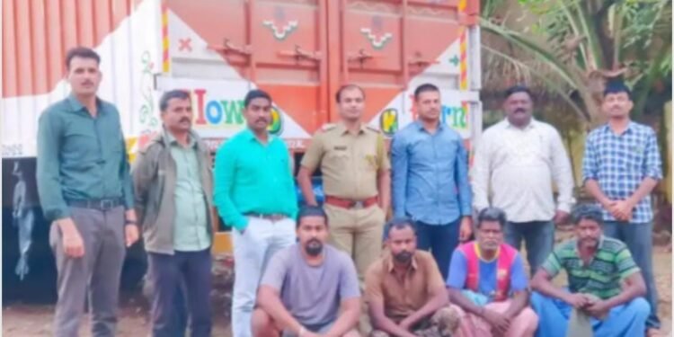 नेकनूर : 35 बैलांची वाहतूक करणारा कंटेनर पोलिसांनी पकडला, आठ जणावर गुन्हा दाखल.