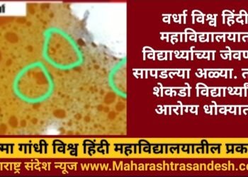 वर्धा विश्व हिंदी महाविद्यालयात विद्यार्थ्याच्या जेवणात सापडल्या अळ्या.. तब्बल शेकडो विद्यार्थ्यांचे आरोग्य धोक्यात.