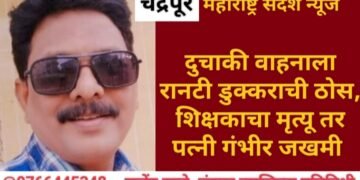 चंद्रपूर: दुचाकी वाहनाला रानटी डुक्कराची टक्कर, शिक्षकाचा मृत्यू तर पत्नी गंभीर जखमी.