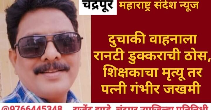 चंद्रपूर: दुचाकी वाहनाला रानटी डुक्कराची टक्कर, शिक्षकाचा मृत्यू तर पत्नी गंभीर जखमी.