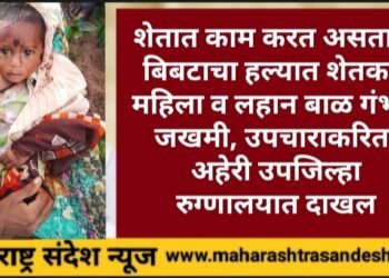 शेतात काम करत असताना बिबटाचा हल्यात शेतकरी महिला व लहान बाळ गंभीर जखमी, उपचाराकरिता अहेरी उपजिल्हा रुग्णालयात दाखल.