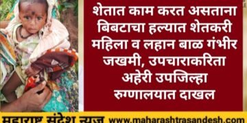 शेतात काम करत असताना बिबटाचा हल्यात शेतकरी महिला व लहान बाळ गंभीर जखमी, उपचाराकरिता अहेरी उपजिल्हा रुग्णालयात दाखल.