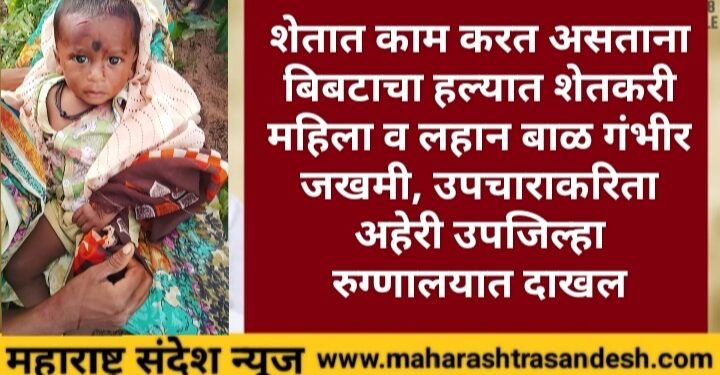 शेतात काम करत असताना बिबटाचा हल्यात शेतकरी महिला व लहान बाळ गंभीर जखमी, उपचाराकरिता अहेरी उपजिल्हा रुग्णालयात दाखल.