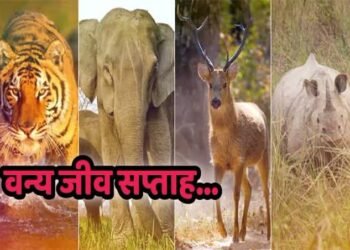 मोसम येथे वन विकास महामंडळ व वन विभाग आलापल्ली द्वारे वन्य जीव सप्ताह साजरा.