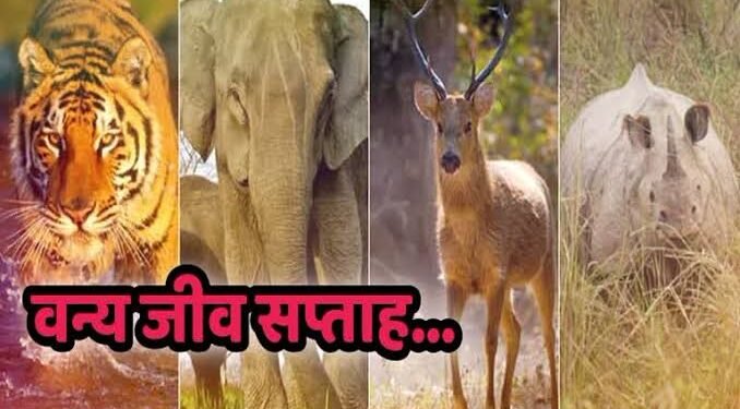 मोसम येथे वन विकास महामंडळ व वन विभाग आलापल्ली द्वारे वन्य जीव सप्ताह साजरा.