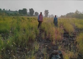 सावनेर तालुक्यातील शेतकरी अतिवृष्टीने झालेल्या नुकसान भरपाई पासून वंचित.