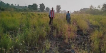 सावनेर तालुक्यातील शेतकरी अतिवृष्टीने झालेल्या नुकसान भरपाई पासून वंचित.