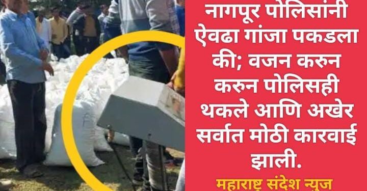 नागपूर पोलिसांनी ऐवढा गांजा पकडला की; वजन करुन करुन पोलिसही थकले आणि अखेर सर्वात मोठी कारवाई झाली.
