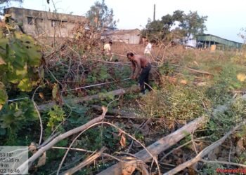 सारडा स्टील अँड पॉवर कंपनीने केली अवैध वृक्ष तोड! हिंगणा वनविभाग झोपेत, सात आठ महिन्यांपासून सुरू आहे वृक्ष तोड.