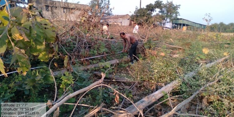 सारडा स्टील अँड पॉवर कंपनीने केली अवैध वृक्ष तोड! हिंगणा वनविभाग झोपेत, सात आठ महिन्यांपासून सुरू आहे वृक्ष तोड.