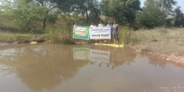 लोक सहभागातुन चंद्रपूर जिल्हातील पाचगाव येथे वनराई बंधारा पूर्णत्वास.