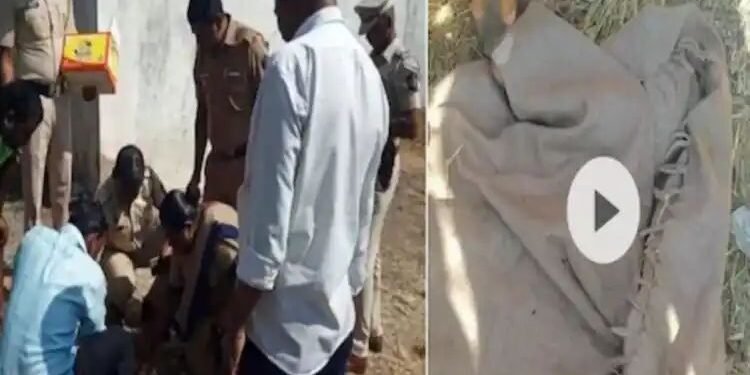 नाशिक जन्मदात्या आई वडिलांनीच पोटच्या अवघ्या काही तासांच्या अर्भकाला रस्त्यावर फेकले.