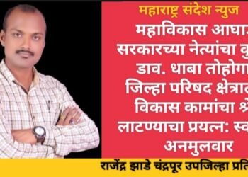 महाविकास आघाडी सरकारच्या नेत्यांचा कुटील डाव, धाबा तोहोगाव जिल्हा परिषद क्षेत्रातील विकास कामांचा श्रेय लाटण्याचा प्रयत्न: स्वप्नील अनमुलवार