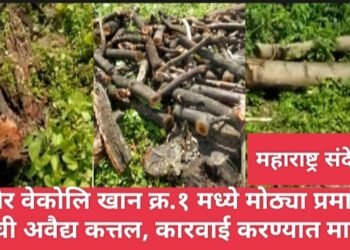 सावनेर वेकोलि खान क्र.१ मध्ये मोठ्या प्रमाणात अवैधरित्या झाडांची कत्तल, कारवाई करण्यात मागणी.