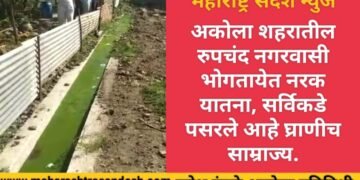 अकोला शहरातील रुपचंद नगरवासी भोगतायेत नरकयातना, सर्विकडे पसरले आहे घ्राणीच साम्राज्य.