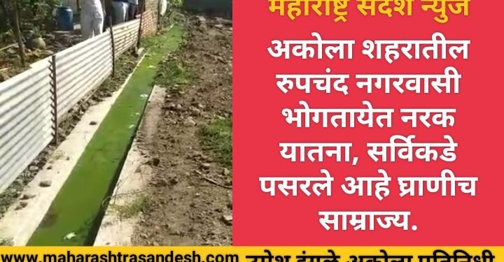 अकोला शहरातील रुपचंद नगरवासी भोगतायेत नरकयातना, सर्विकडे पसरले आहे घ्राणीच साम्राज्य.