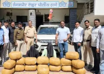 संगमनेर तालुक्यात 172 किलो गांजा पोलिसांनी सापळा रचून पकडला, 23 लाख  ८५ हजार रुपयांचा मुद्देमाल जप्त.