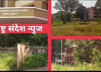 अकोला: सर्वोपचार रुग्णालयात गाजर गवताचा बगीचा; चिकणगुणीया येल्लो फिवर मलेरिया टाईफाइड डेंग्यू झिंका या आजारांना मोफतच आमंत्रण: उमेश इंगळे