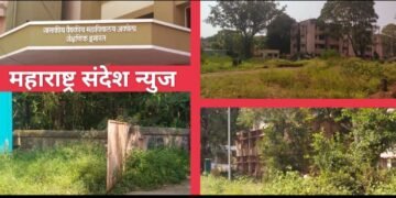 अकोला: सर्वोपचार रुग्णालयात गाजर गवताचा बगीचा; चिकणगुणीया येल्लो फिवर मलेरिया टाईफाइड डेंग्यू झिंका या आजारांना मोफतच आमंत्रण: उमेश इंगळे