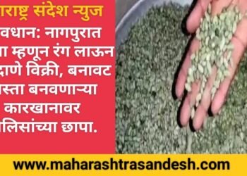 सावधान: नागपुरात पिस्ता म्हणून रंग लाऊन शेंगदाणे विक्री, बनावट पिस्ता बनवण्याचा कारखाना पोलिसांच्या छापा.