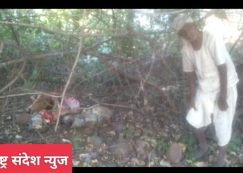 हिंगणा तालुक्यातील डेगमा खूर्द, वाघाच्या हल्ल्यात गाय ठार, परिसरात दहशत.