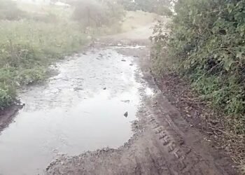 हिवरगाव पावसा येथील ओढ्यावर नवीन उंच पूल बांधण्या निधी द्या, फुले, आंबेडकर, शाहू विचार मंचाचे जिल्हाधिकारी यांना निवेदन.