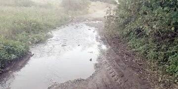 हिवरगाव पावसा येथील ओढ्यावर नवीन उंच पूल बांधण्या निधी द्या, फुले, आंबेडकर, शाहू विचार मंचाचे जिल्हाधिकारी यांना निवेदन.