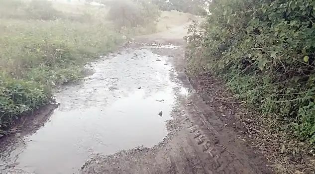 हिवरगाव पावसा येथील ओढ्यावर नवीन उंच पूल बांधण्या निधी द्या, फुले, आंबेडकर, शाहू विचार मंचाचे जिल्हाधिकारी यांना निवेदन.