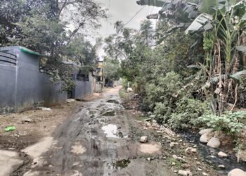 गजानन नगर प्रभात क्र.३ मध्ये घाणिचे साम्राज्य प्रशासनाचे दुर्लक्ष, साफसफाई अभावी नाल्यांचे पाणी रस्त्यावर.