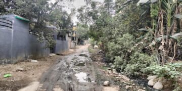 गजानन नगर प्रभात क्र.३ मध्ये घाणिचे साम्राज्य प्रशासनाचे दुर्लक्ष, साफसफाई अभावी नाल्यांचे पाणी रस्त्यावर.