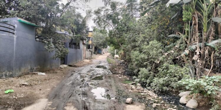 गजानन नगर प्रभात क्र.३ मध्ये घाणिचे साम्राज्य प्रशासनाचे दुर्लक्ष, साफसफाई अभावी नाल्यांचे पाणी रस्त्यावर.