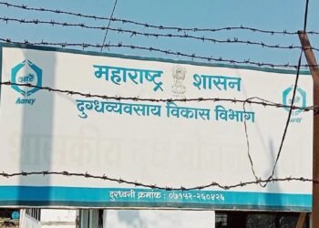 वर्ध्यातील शासकीय दुग्धशाळा पडली आहे धुळखात, एकेकाळी 16 हजार लिटर दुधावर व्हायची प्रक्रिया.