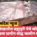 चंद्रपूर जिल्हातील ब्रह्मपुरी येथे खोदकामात सापडला प्राचीन बौद्ध कालीन स्तंभ.