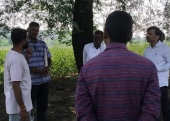 सासती शिवारातील अनअधिग्रहित जमिनी वेकोली विभाग अधिग्रहण करणार, पंचनामे सुरू