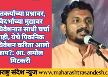 शेतकर्यांच्या प्रश्नावर, विदर्भाच्या मुद्यावर अधिवेशनात साधी चर्चा नाही, येथे पिकनिक अधिवेशन करिता आलो काय?: आ. अमोल मिटकरी
