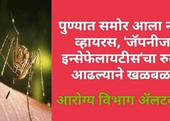 पुण्यात समोर आला नवा व्हायरस, ‘जॅपनीज इन्सेफेलायटीस’चा रुग्ण आढल्याने खळबळ, आरोग्य व्यवस्थेची कसोटी.