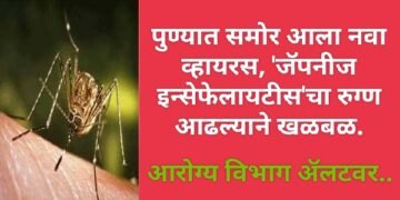 पुण्यात समोर आला नवा व्हायरस, ‘जॅपनीज इन्सेफेलायटीस’चा रुग्ण आढल्याने खळबळ, आरोग्य व्यवस्थेची कसोटी.
