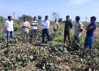 माजी कृषी सभापती वन विभागाच्या अधिकाऱ्यांसह पोहोचले शेतकऱ्यांच्या बांधावर