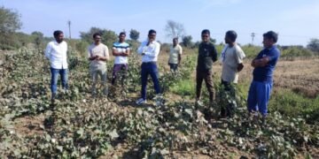 माजी कृषी सभापती वन विभागाच्या अधिकाऱ्यांसह पोहोचले शेतकऱ्यांच्या बांधावर