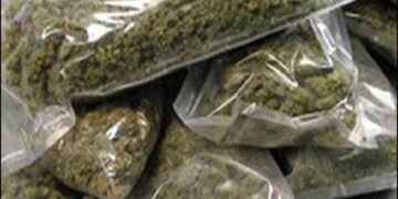 इन्स्ट्राग्राम सोशल मेडिया व्दारे अंमली पदार्थ विक्री करणारा सिंहगडरोड पो. ठाणेकडील गुन्हयातील पाहिजे आरोपीचा शिताफीने शोध घेऊन घेतले ताब्यात..