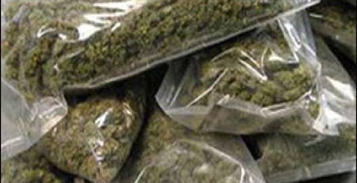 इन्स्ट्राग्राम सोशल मेडिया व्दारे अंमली पदार्थ विक्री करणारा सिंहगडरोड पो. ठाणेकडील गुन्हयातील पाहिजे आरोपीचा शिताफीने शोध घेऊन घेतले ताब्यात..