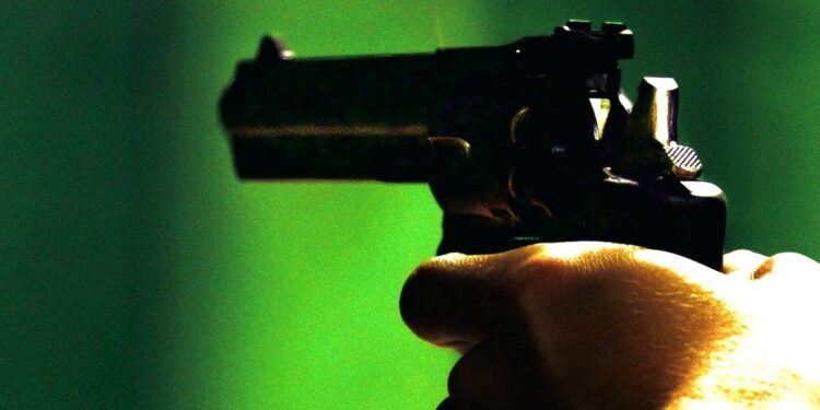 देशी पिस्टल व्हॉटस्अपवर स्टेट्स ठेवणा-या तरुणास अटक