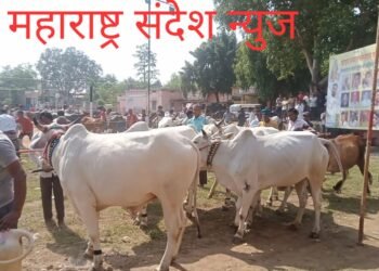 प्राण्यांची वाहतुक व बाजारास अटींच्या अधीन राहून मान्यता व काही अटींचे पालन करणे बंधनकारक राहणार