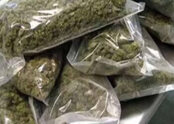 नागपुर येथून मोठ्या प्रमाणात गांजाची तस्करी, तेरा किलो गांजासह एका महिला व अल्पवयीन मुलाला अटक