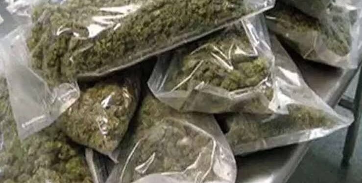 नागपुर येथून मोठ्या प्रमाणात गांजाची तस्करी, तेरा किलो गांजासह एका महिला व अल्पवयीन मुलाला अटक